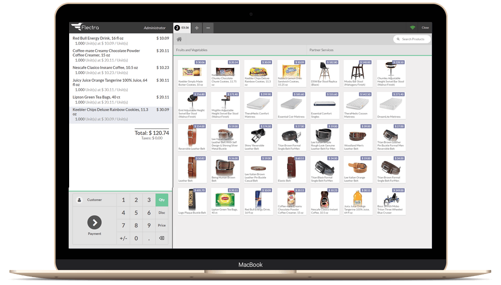 Flectra CMS - a big picture