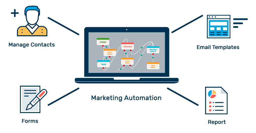 Flectra CMS - a big picture